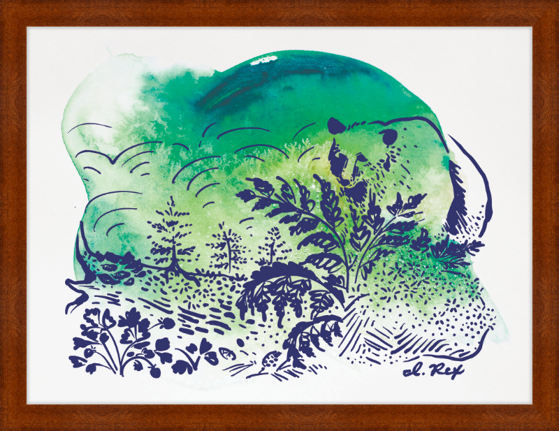 Custom Framed "Temperate Rainforest"