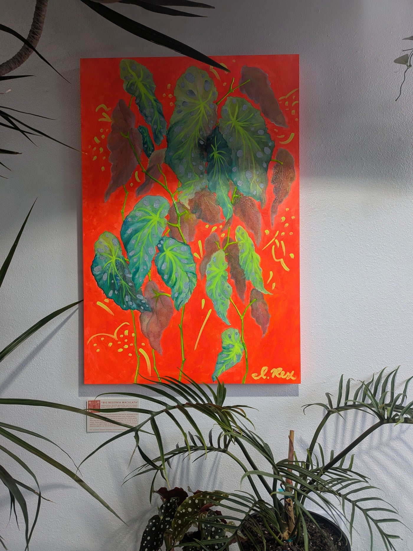 ORIGINAL - "Big Begonia Maculata"