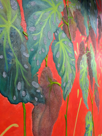 ORIGINAL - "Big Begonia Maculata"