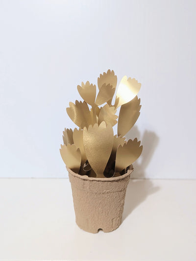 Bear's Paw Plant Sculpture