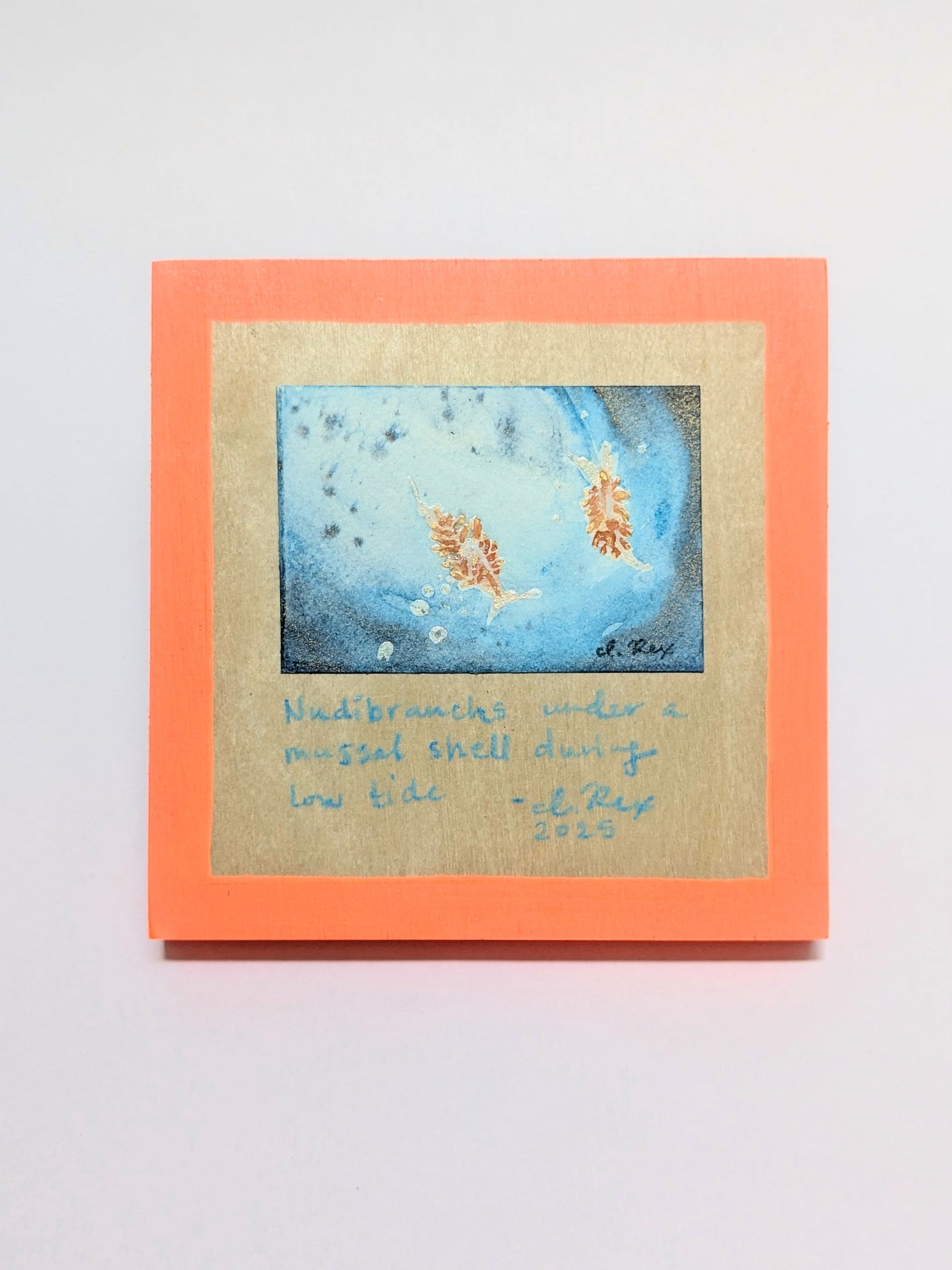 ORIGINAL - "Nudibranchs"