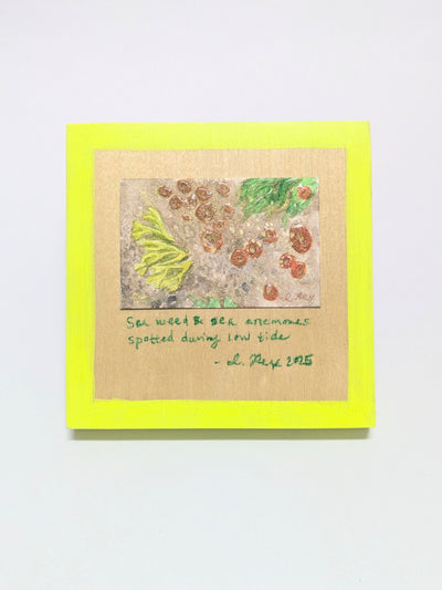 ORIGINAL - "Seaweed & Anemones"