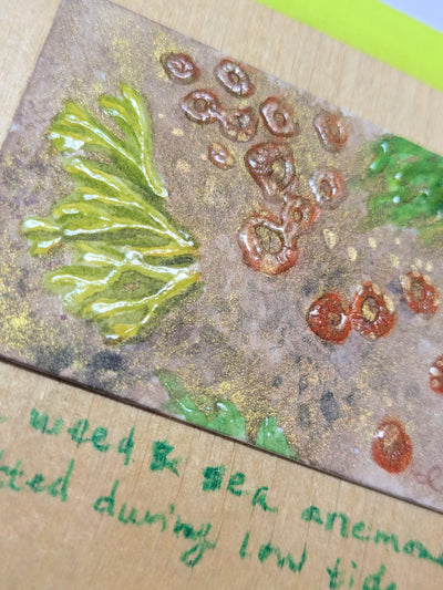 ORIGINAL - "Seaweed & Anemones"